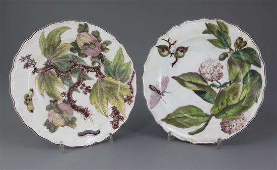 Two Chelsea Hans Sloane botanical plates, c.1755, 23.5cm, faults and one restored